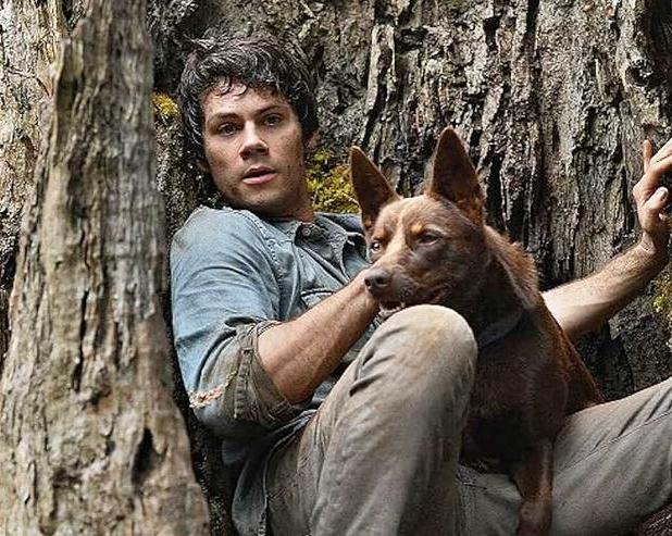 10 недооцененных фильмов постапокалиптического жанра / Кино и сериалы / iXBT Live